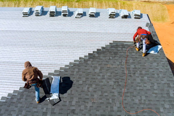 Best Residential Roofing Contractor  in Holland, MI