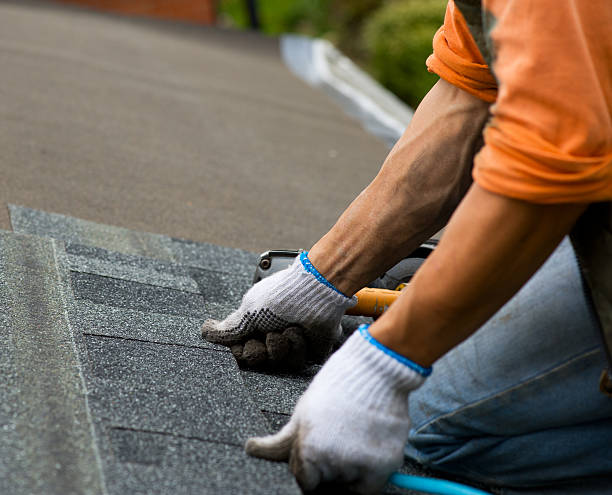 Best New Roof Installation  in Holland, MI