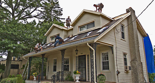Best Roof Gutter Cleaning  in Holland, MI