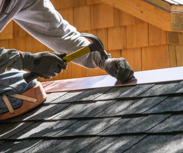 Best Gutter Installation and Roofing  in Holland, MI